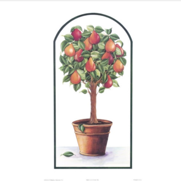 Fruit Tree Prints Terra Cotta Lemon Plum Apple Pear 7 1/2 x 13 - Picture 2 of 4